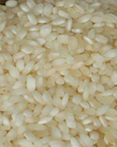 Idly Rice - Steam Idly Rice - Steam