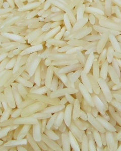 BPT - Half Boiled BPT - Half Boiled