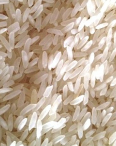 Lachkary/colom - Raw Lachkary/colom - Raw