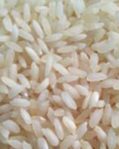 Swarna - Half Boiled Swarna - Half Boiled